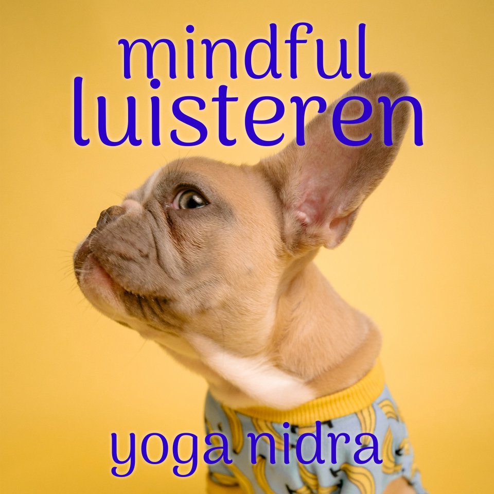 Omslagfoto van Mindful luisteren: mindfulness meditatie