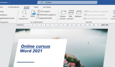 Microsoft Word 2021